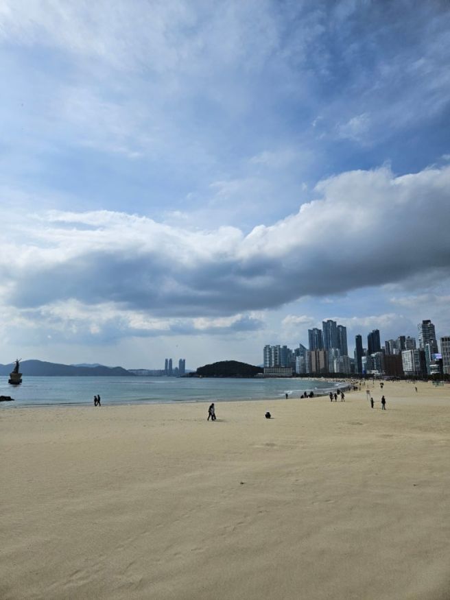 해운대 아저씨 대구탕 혼밥 (기와집 대구탕 비교) +호랑이 젤라떡