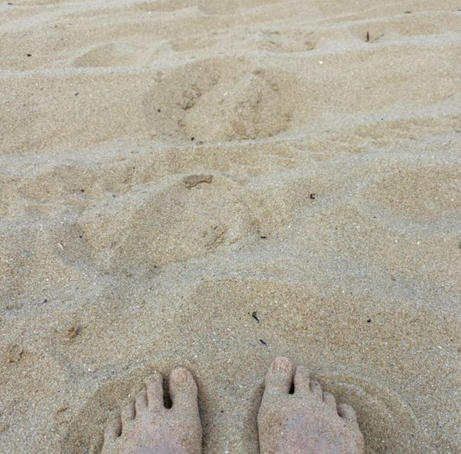 [속초] 04_속초바다 차원달라 🏖️ 속초해변 &amp; 감나무집 &amp; 흰다정 &amp; 장홍김밥