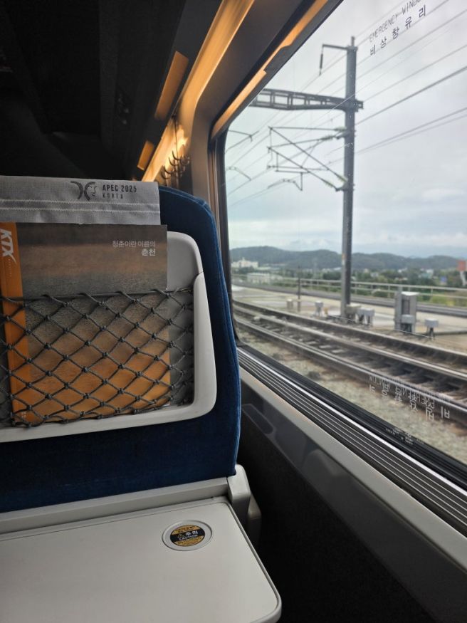 대전 동구 중식 멘보샤 맛집 추천 태화장 웨이팅 꿀팁 내돈내산 솔직후기