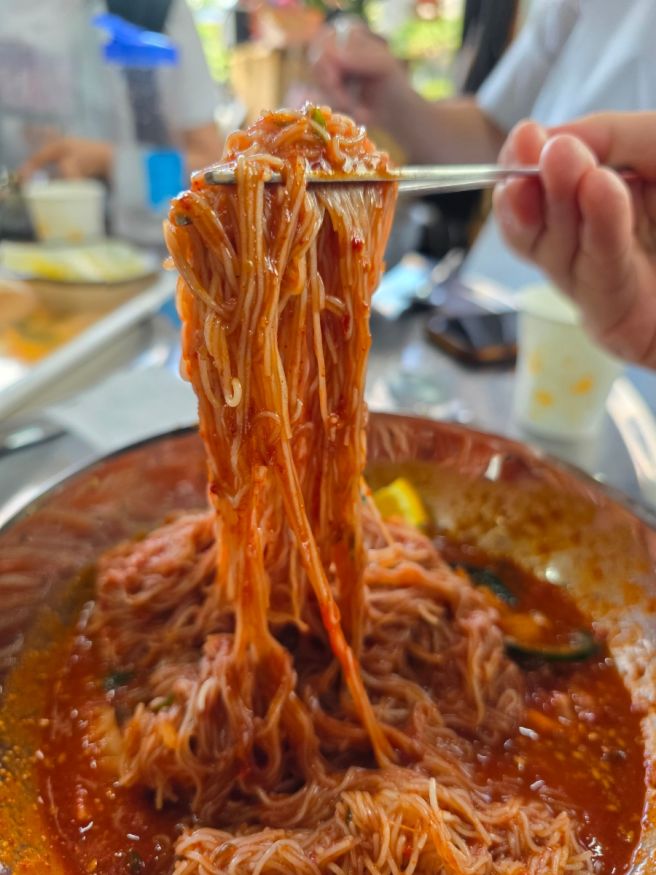 제주 중문 함흥냉면 맛집 대포면옥 비빔 추천