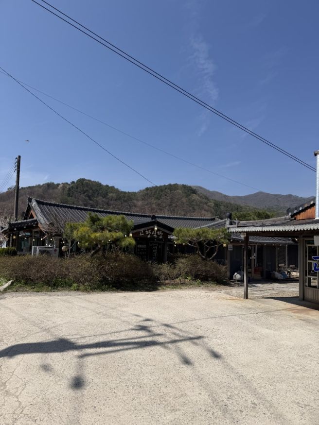 고향식당 / 양평 용문산 근처 애견동반 토종닭 백숙 맛집
