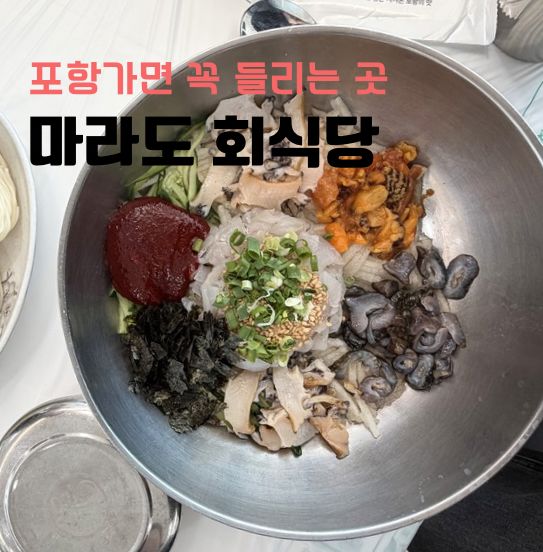 포항 맛집 마라도 회식당 최강달인물회 내돈내산