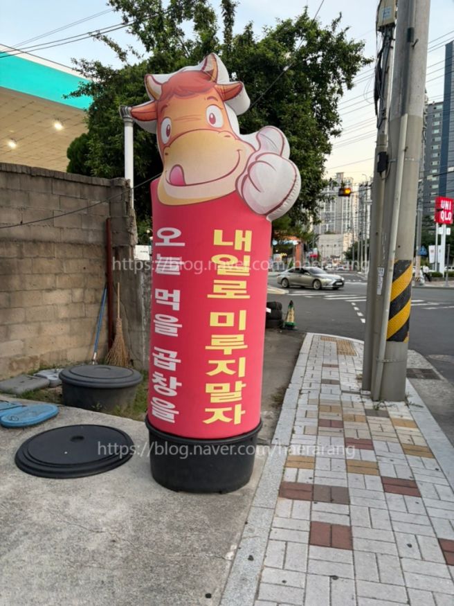 [대구]버들식당 월성월배점 : 그런날 있잖아요~곱창전골 끌리는날~