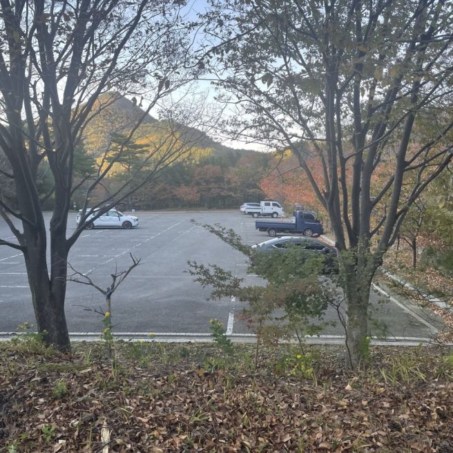 단풍 구경하러 떠난 포항 나들이 | 경상북도 수목원 가배원 한옥카페 새포항물회