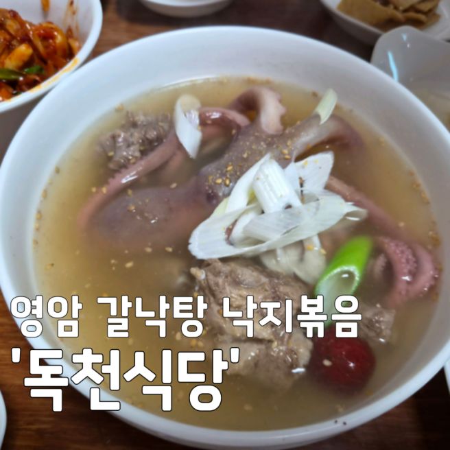 [영암 맛집] 1박2일 멤버들도 감탄한 독천식당! 갈낙탕 낙지볶음