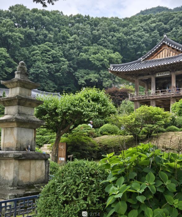 W.6 상견례 (영주 삼뜨락한정식, 인삼한정식, 부석사 산책)