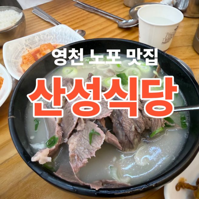 영천 국밥 맛집 시장 곰탕골목에서 맛 본 찐 국물 산성식당