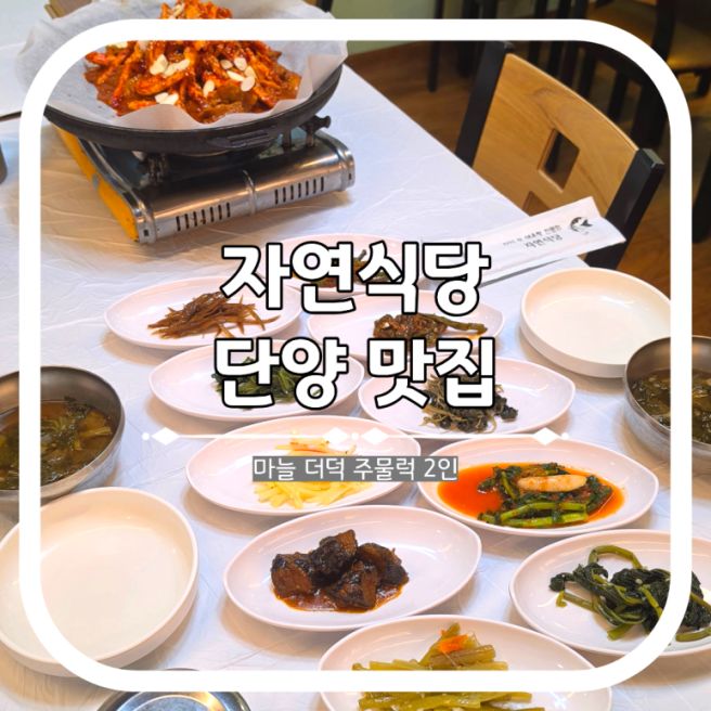단양 맛집 자연식당 내돈내산 건강한 한식 후기