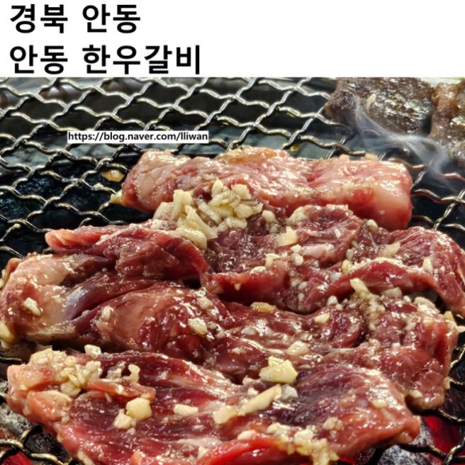 [경북/안동] 안동 갈비골목 현지인 맛집 추천, 안동한우갈비