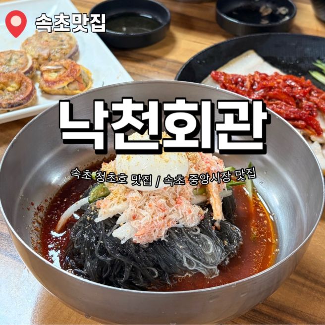 속초 중앙시장 맛집 낙천회관 30년 전통 홍게냉면 청초호 맛집 추천