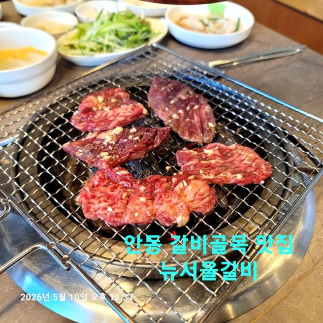 경북 안동 갈비 골목 맛집 뉴서울갈비 양념갈비맛이 일품