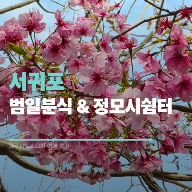 서귀포여행) 제주 남원 찐코스 발견! 범일분식 + 정모시쉼터