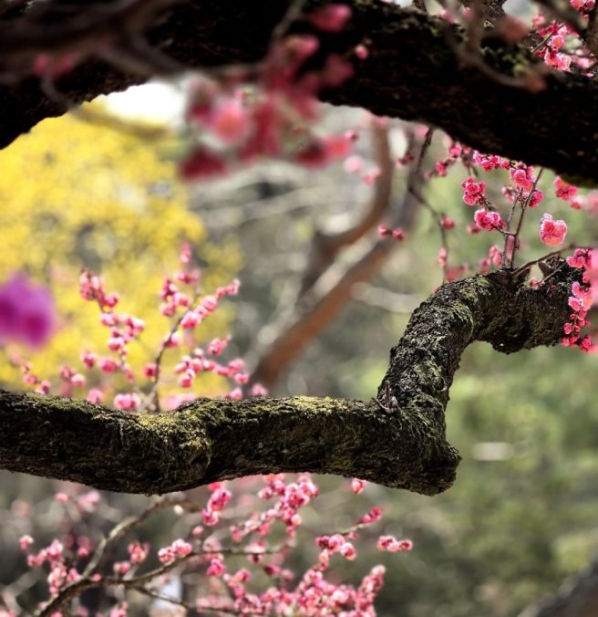 인사동 한정식 원조집《선천집》2대 59년 전통! 정갈하고 깔끔한 맛! 조미료를 일절 사용하지 않고...