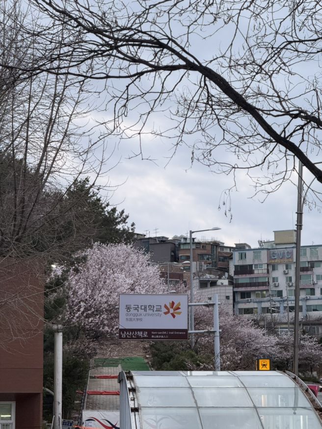 [서울 중구] 태극당