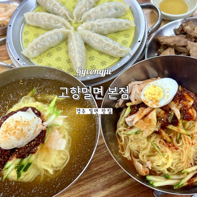 경주 황리단길 첨성대 현지인 찐맛집 고향밀면
