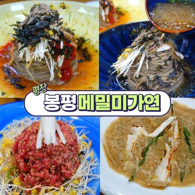 평창 휘닉스파크 근처 맛집 100%메밀국수를 맛볼 수 있는 봉평메밀미가연