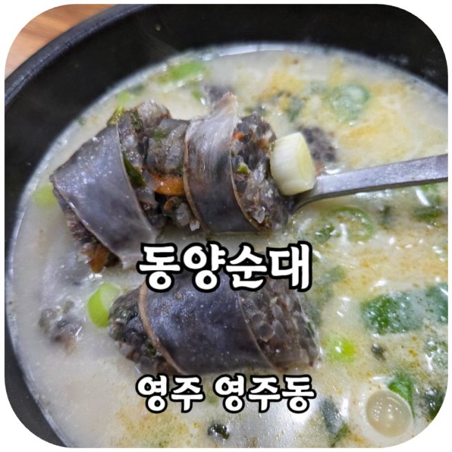 영주 영주동 / 영주365시장 맛집 동양순대