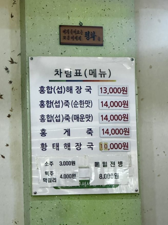 속초해장맛집 | 술 마신 다음 날 해장하러 재방문한 ‘섭죽마을’ 섭국•섭죽 내돈내산 만족후기