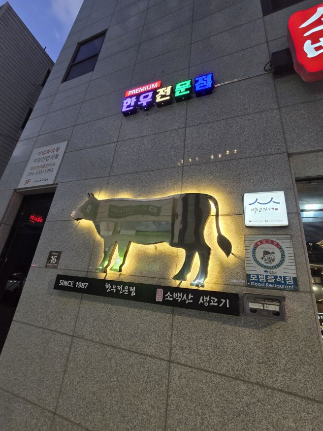 소고기 맛집 본고장 영주시에서 즐기는 소백산생고기