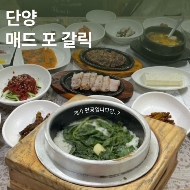 [충북/단양] 단양 흑마늘 한정식, 곤드레 마늘정식 맛집 '돌집식당'