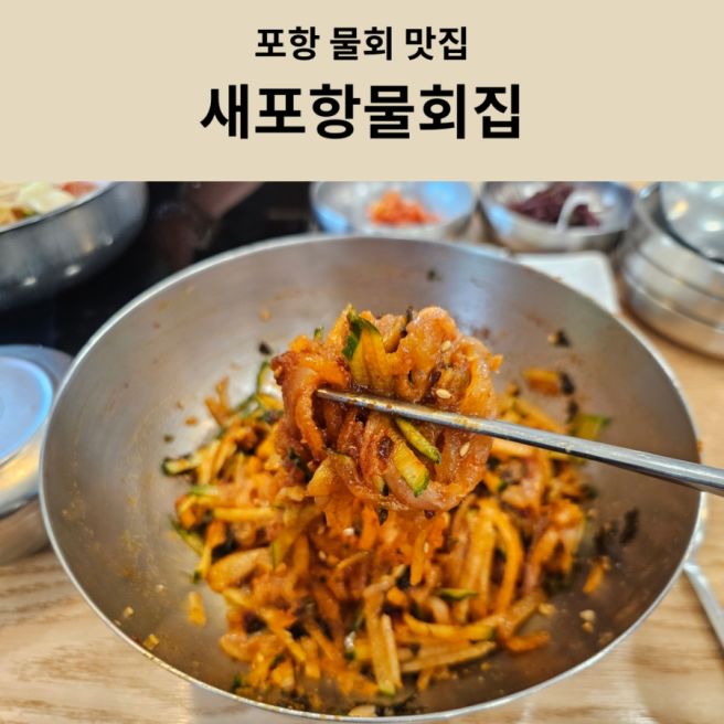 포항물회맛집 새포항물회집 고추장 물회 내돈내산 솔직후기