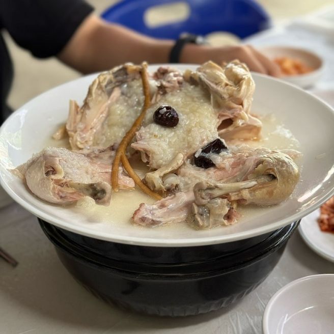 용인 고기리 계곡 맛집 | 지금 가야 더 좋은 곳 장수촌 누룽지백숙 내돈내산