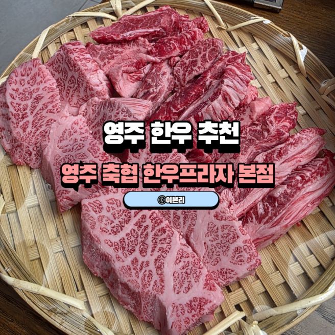 영주 한우프라자 본점 친구돈친구산 갈비살 한우물회