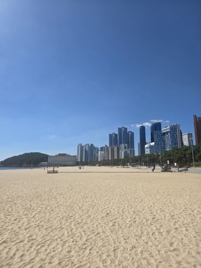 부산 해운대맛집 금수복국에서 점심특선 까치복국