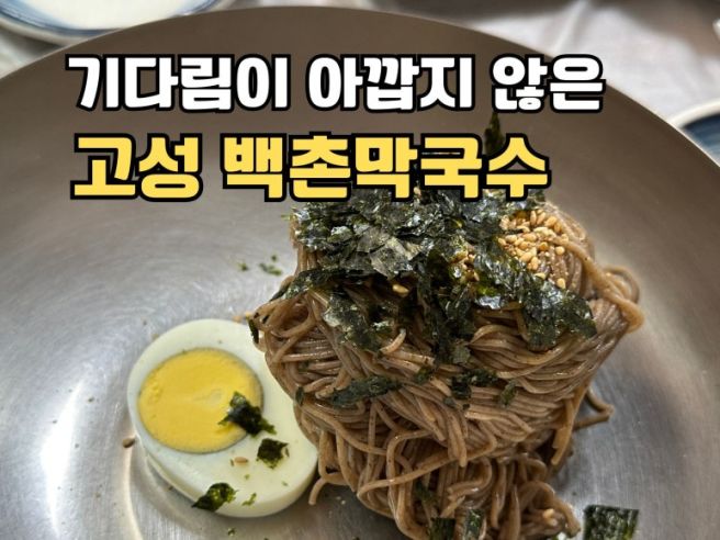 고성 여행 필수 코스, 백촌 막국수 오픈런 내돈내산