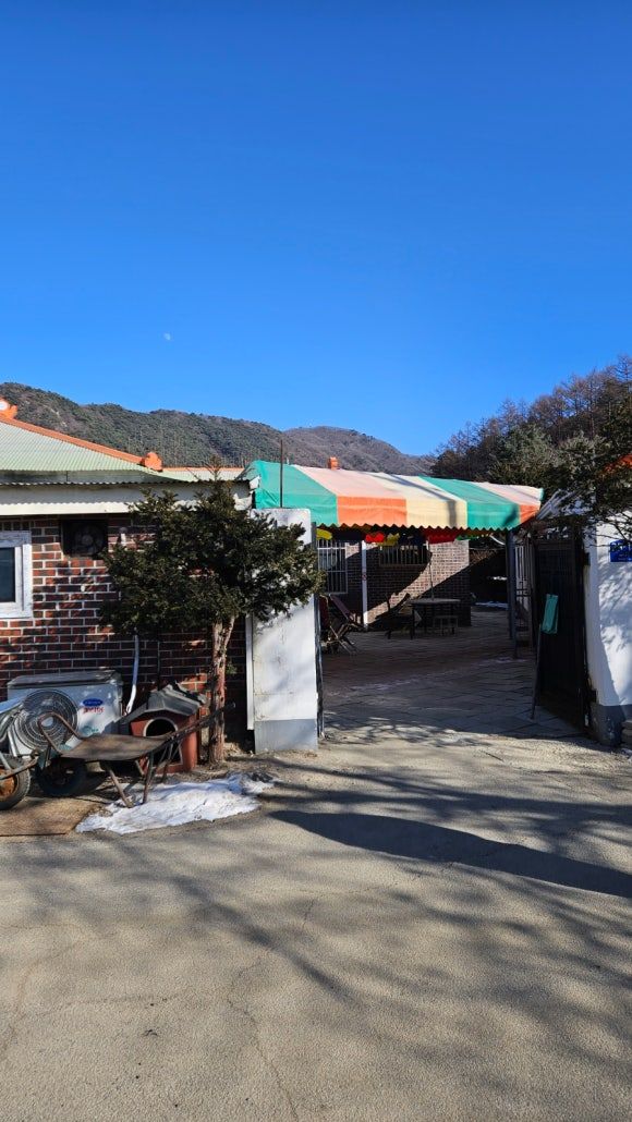 철원 맛집 내대막국수