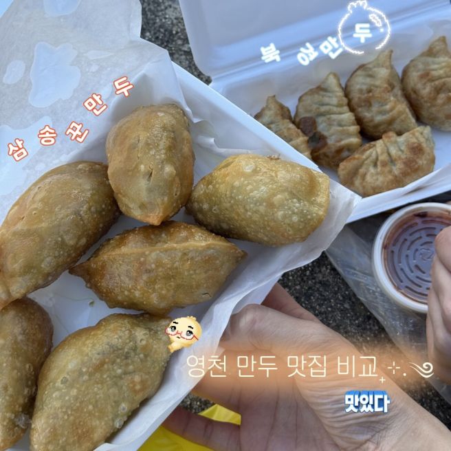 영천 만두 맛집 북경만두 삼송꾼만두 내돈내산 비교 후기