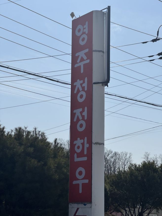 영주 로컬 맛집 고깃집 영주 청정한우 찐 후기