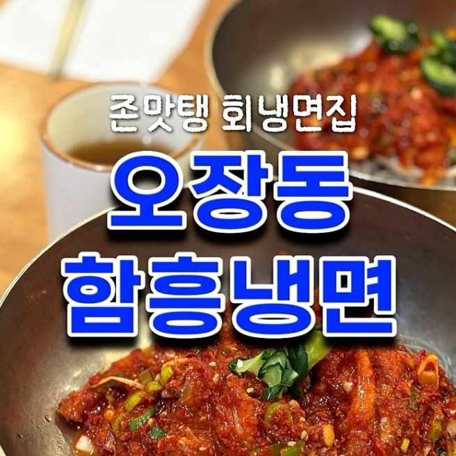[을지로] 오장동 함흥냉면 회냉면 내돈내산 후기｜벌써 7번은 방문한 찐맛집