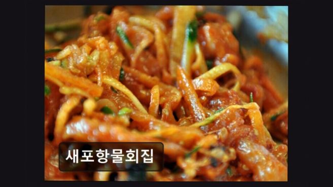 포항 맛집 새포항물회집 고추장 물회의 진수