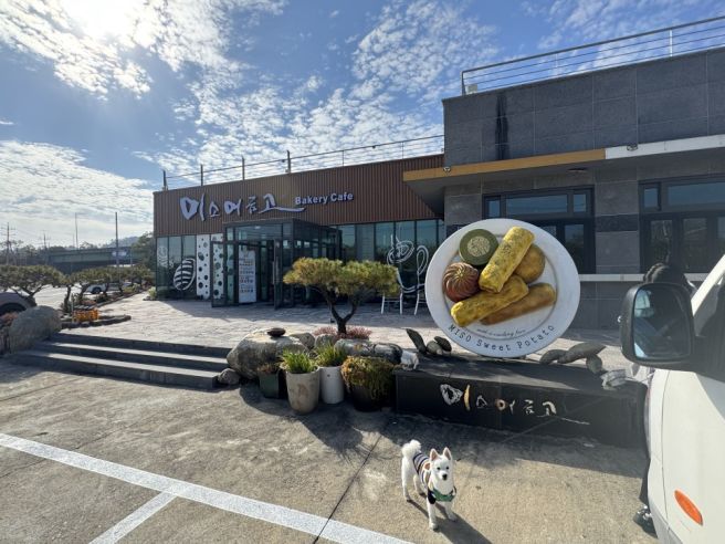 [경북카페/영주카페] 고구마빵이 맛있는 카페 미소 머금고 방문 후기