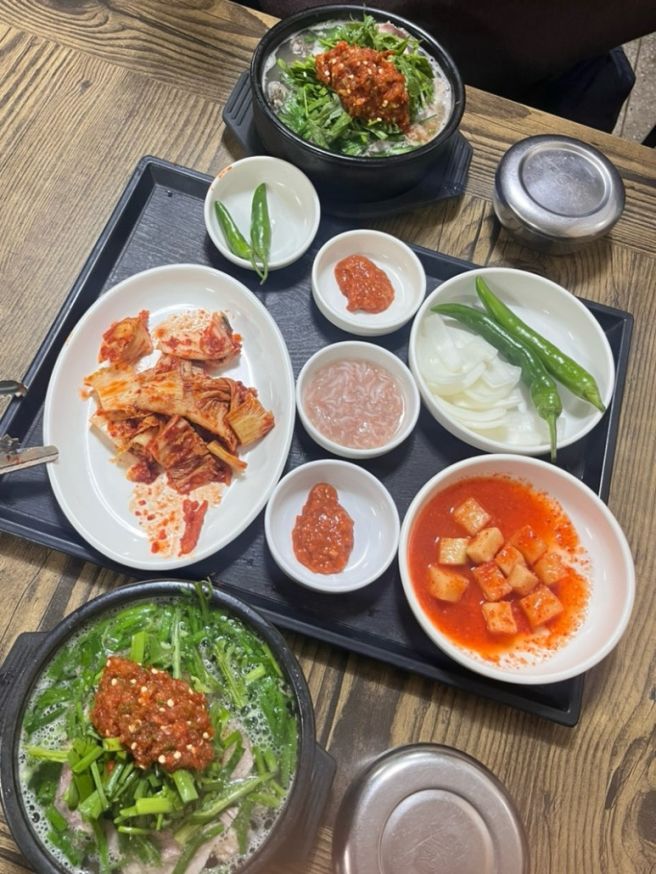 안동 점심추천 현지인 돼지국밥 맛집 신라국밥 내돈내산
