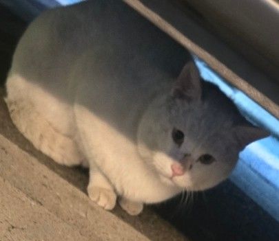 수십 년 단골들이 증명하는 집 – 나우구이의 존재감