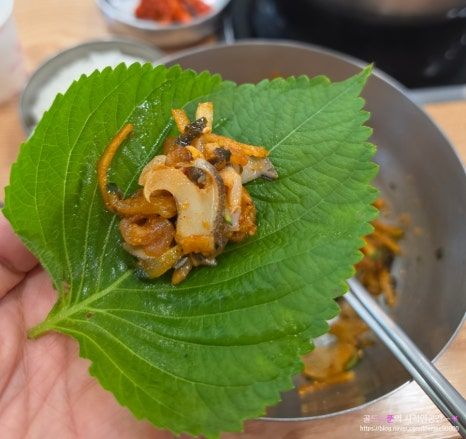 포항 물회 맛집 원조 고추장물회 새포항물회집 다녀 왔어요