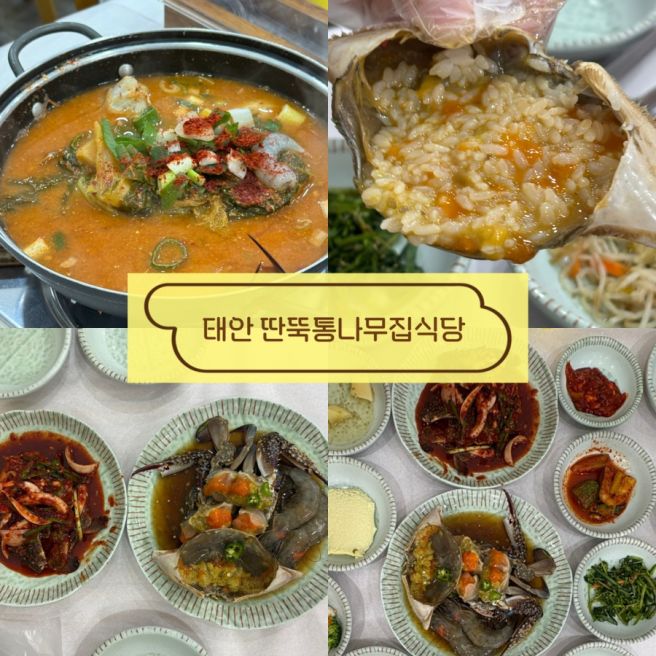 태안 안면도 맛집 딴뚝통나무집식당 세트메뉴추천(게국지,간장게장 적극추천)