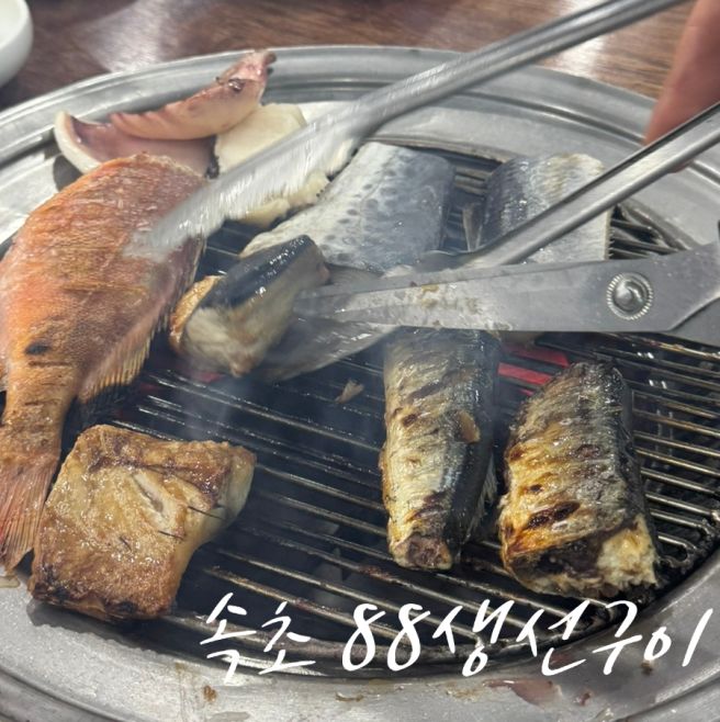 속초 88생선구이 숯불모둠생선구이 주차 웨이팅 아기랑
