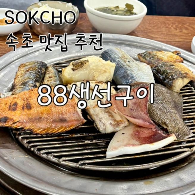 속초 중앙시장 근처 맛집 88생선구이, 웨이팅 포함 솔직 후기