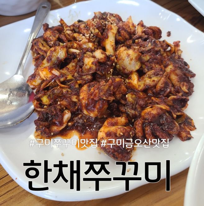 구미 쭈꾸미 맛집은 여기! 금오산 한채쭈꾸미