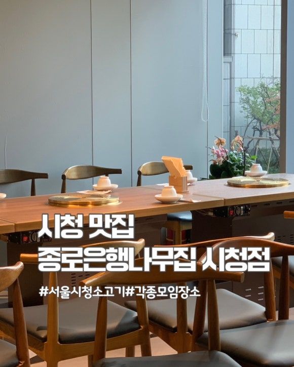 시청 맛집 시청 소고기 시청 회식 종로은행나무집 시청점