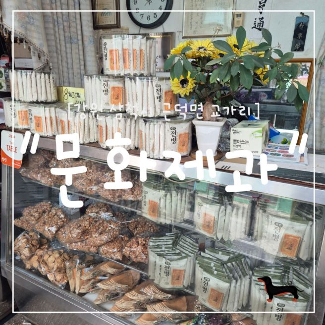 "강원 삼척시" 삼척 여행 중 꼭 가봐야 할 곳? 문화제과 방문 후기