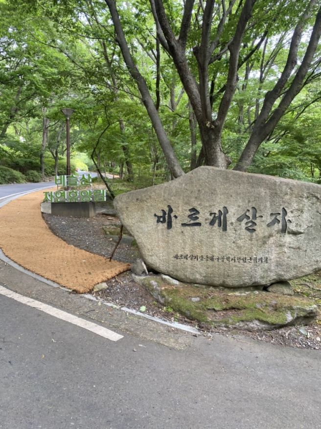 대구 비슬산 자연휴양림 둘러보기｜카라반부터 숲속의 집까지