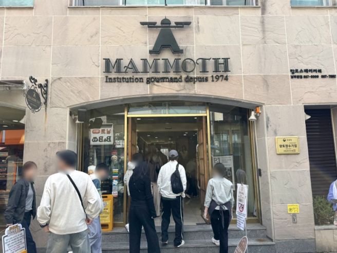 안동 맘모스베이커리 크림치즈빵 메뉴 추천