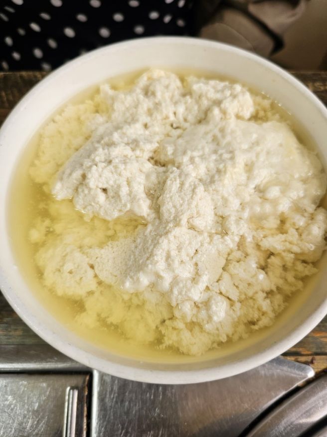 대전 동구 대성동 숨두부 맛집 평양숨두부 토종닭곰탕과 순두부 한상