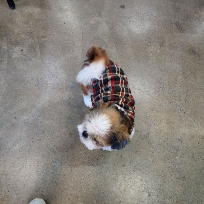 경주 성호리조트 근처 점심맛집 줄서먹는 원조떡갈비집