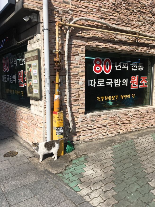 대구 동성로 80년 전통의 국일따로국밥