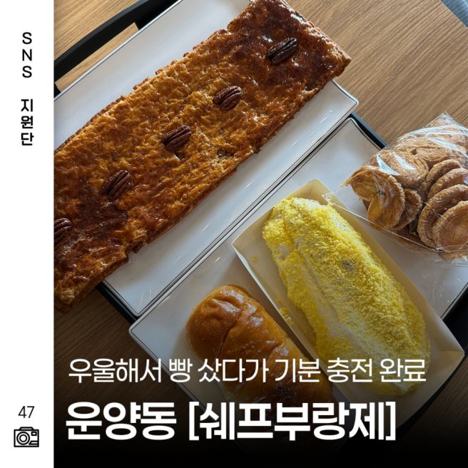 김포 운양동 베이커리 카페 빵순이가 인정한 쉐프부랑제 추천